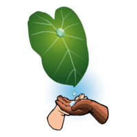 Illustration of hands catching a water droplet from a leaf.
